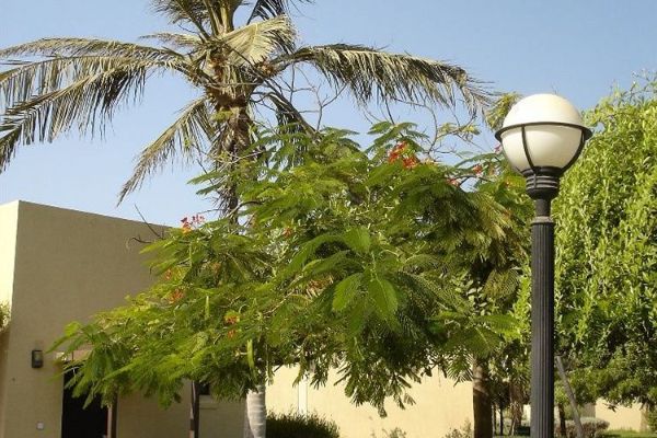 Al Sawadi Beach Resort & Spa (Barka )